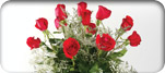 Paquetes Romance