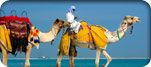 Cruisetours en Dubai, Emiratos Árabes