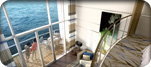Owner's Loft Suite con balcón