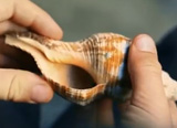 image_video