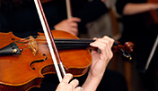 Orquesta en vivo